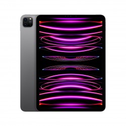 Apple iPad Pro 11-inch (2022) 128GB, Wi-Fi Only - Space Grey