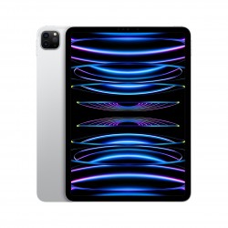 Apple iPad Pro 11-inch (2022) 256GB, Wi-Fi Only - Silver