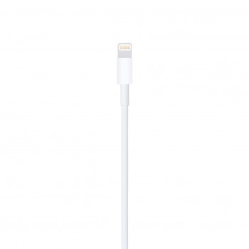 Apple Lightning to USB Cable (0.5 m)