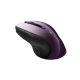 Canyon Wireless mouse with blue LED Sensor MW-01